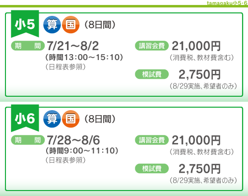 小５、６