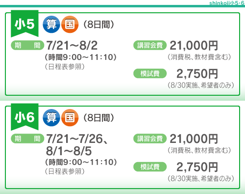 小５、６